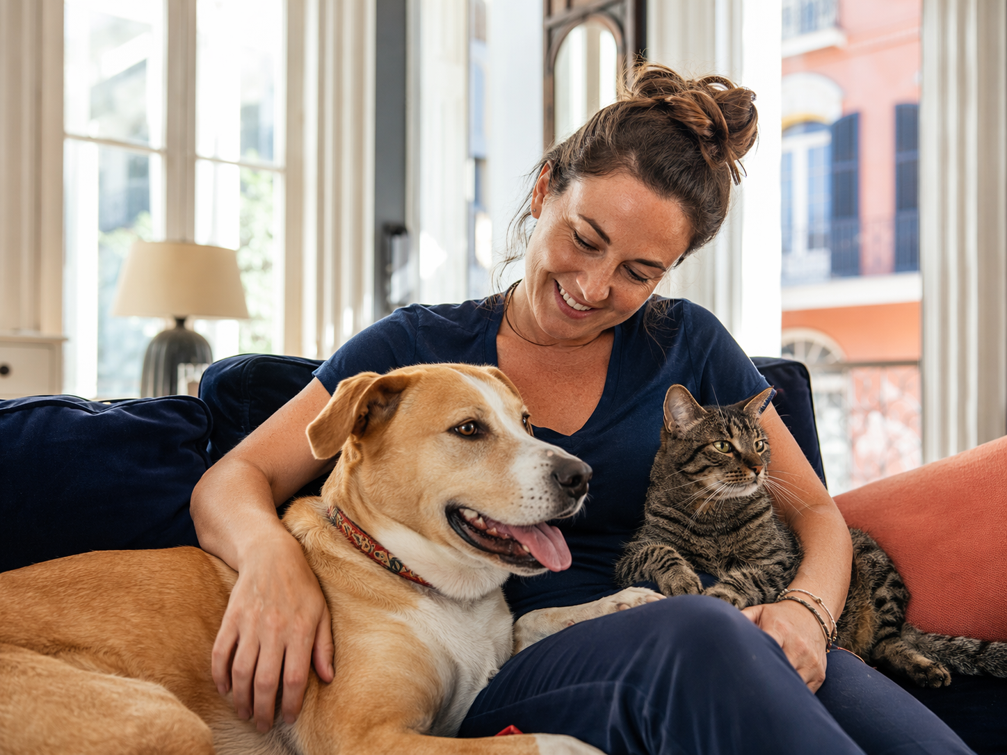 A rescued dog and cat relaxing with a foster volunteer